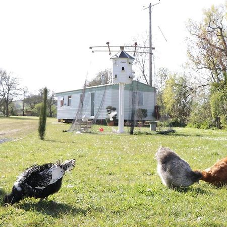 The Nest - Family Friendly Caravan Nr Glastonbury & Street Somerton  Εξωτερικό φωτογραφία
