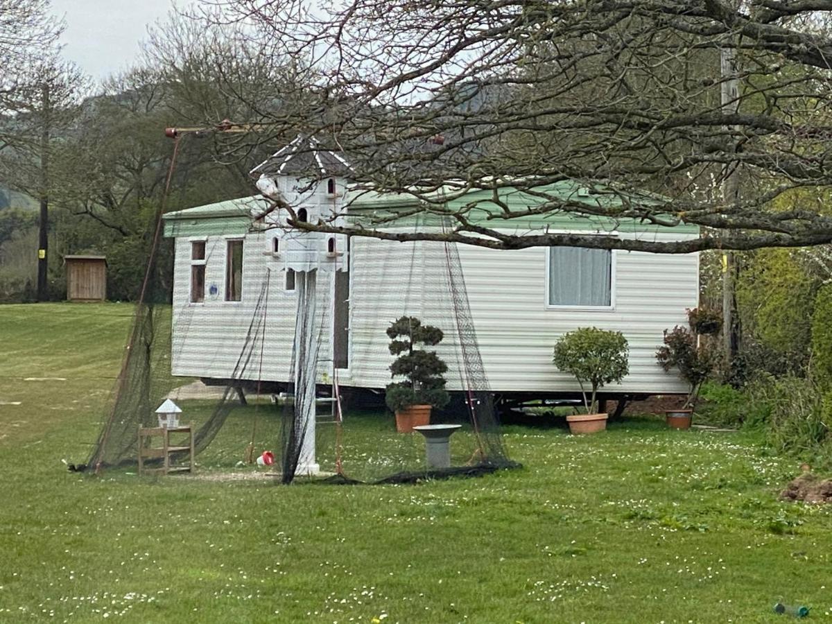 The Nest - Family Friendly Caravan Nr Glastonbury & Street Somerton  Εξωτερικό φωτογραφία