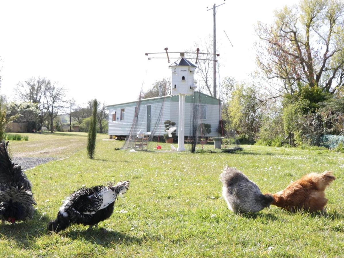 The Nest - Family Friendly Caravan Nr Glastonbury & Street Somerton  Εξωτερικό φωτογραφία